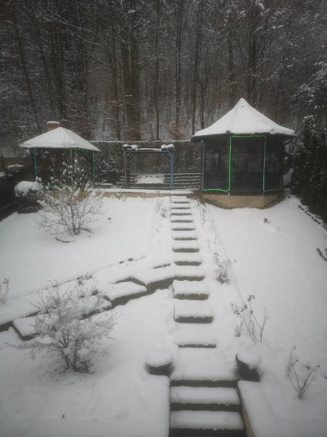 Casa Hera Sinaia Exterior foto